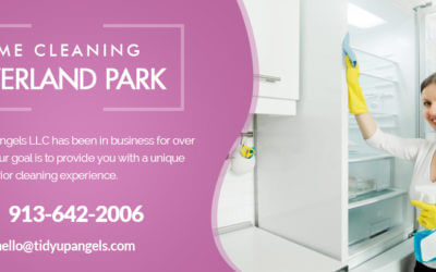 Home Cleaning and Kids In Overland Park