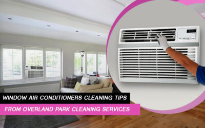 Window Air Conditioners Cleaning Tips from Overland Park Cleaning Services